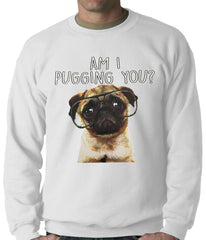 Am I Pugging You Funny Pug Adult Crewneck