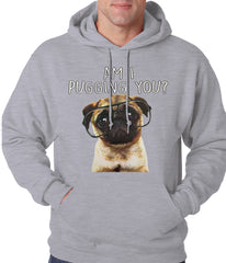 Am I Pugging You Funny Pug Adult Hoodie