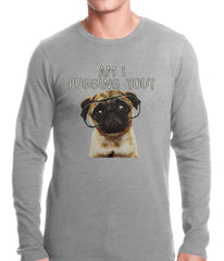 Am I Pugging You Funny Pug Thermal Shirt