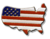 America Lapel Pin