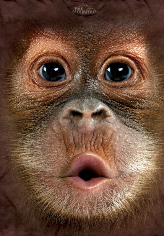 Baby Orangutan Big Face Men's T-Shirt