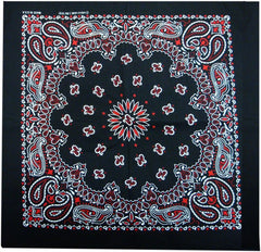 Black & Red Paisley Bandanna