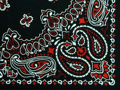 Red Paisley Bandanna