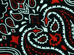 Black & Red Paisley Bandanna