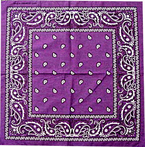 Bandanas - Dark Purple Paisley Bandana
