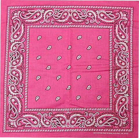 Bandanas - Hot Pink Paisley Bandana