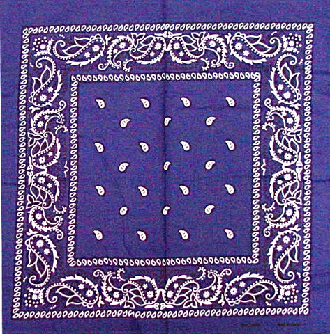 Bandanas - Navy Blue Paisley Bandana