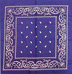 Bandanas - Navy Blue Paisley Bandana