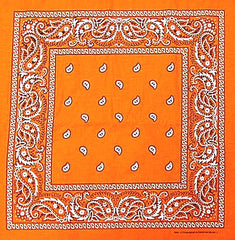 Bandanas - Orange Paisley Bandana