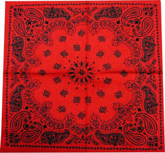 Bandanna - Red & Black Paisley Bandanna
