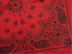 Bandanna - Red & Black Paisley Bandanna