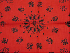 Bandanna - Red & Black Paisley Bandanna