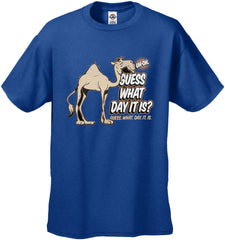 Bewild Guess What Day It Is? Camel Hump Day Men's T-Shirt