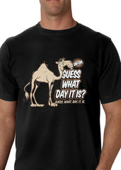 Bewild Guess What Day It Is? Camel Hump Day Men's T-Shirt 