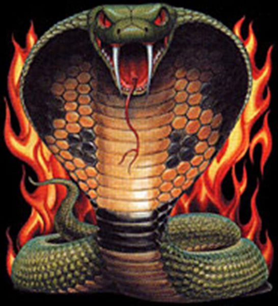 Biker Hoodies - "Cobra in Flames" Biker Hoodie –