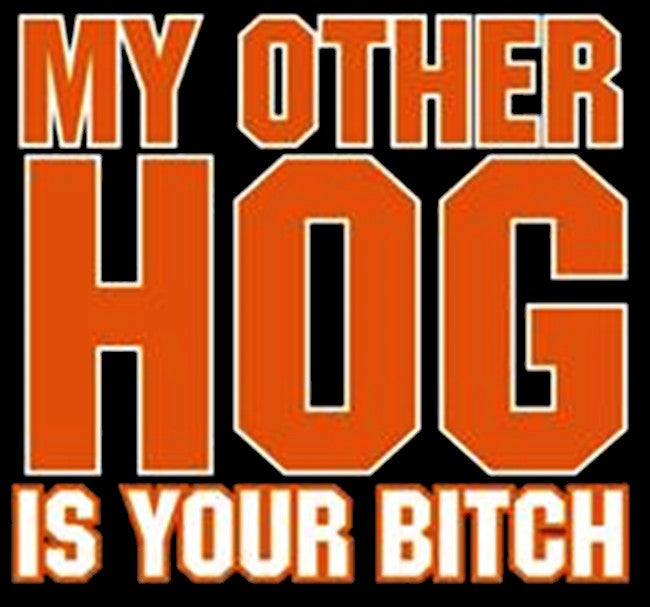 "My Other Hog" Biker Hoodie