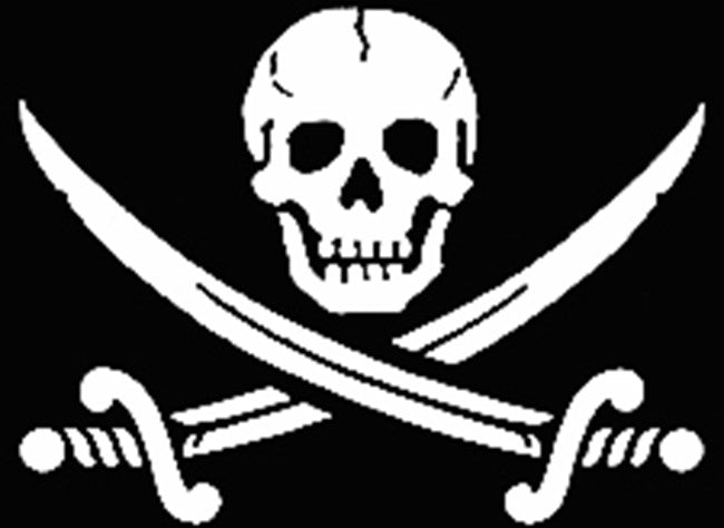 Pirate Skull and Swords Adult Biker Hoodie