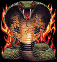 Cobra in Flames