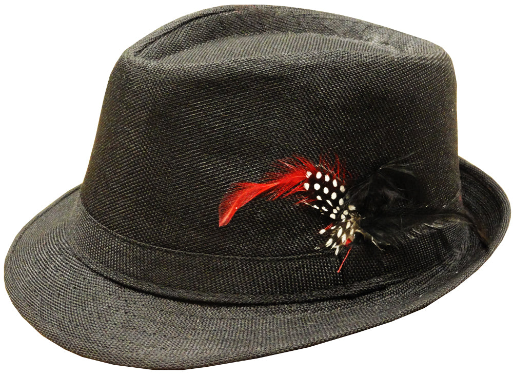 Black Fedora With Feathers