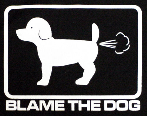 Blame The Dog Hoodie –