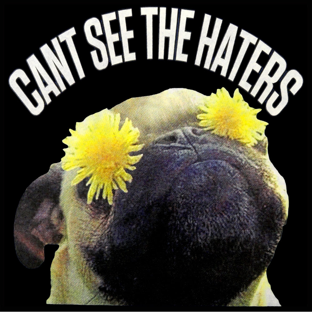 Can't See The Haters Funny Pug Adult Hoodie