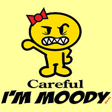 Careful. I'm Moody Girls T-Shirt