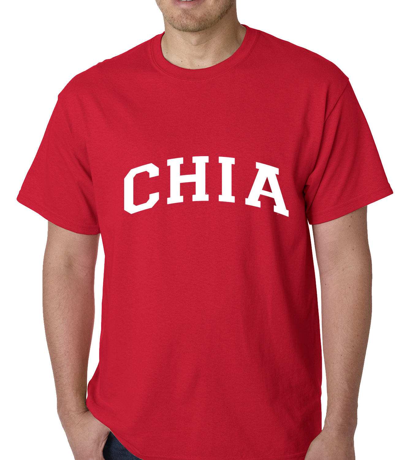 Chia Seed Vegetarian Mens T-shirt