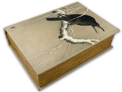 Diversion Safe - Crows Book Safe