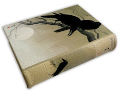 Diversion Safe - Crows Book Safe