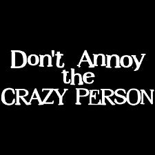 Dont Annoy The Crazy Person Girls T-Shirt
