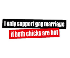 I Support Gay Marriage If Botch Chicks Are Hot T-Shirt