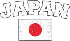 Japan Vintage Flag International Hoodie