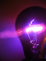Standard Blacklite Bulb