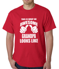 This Is What An Awesome Grandpa Looks Like Mens T-shirt