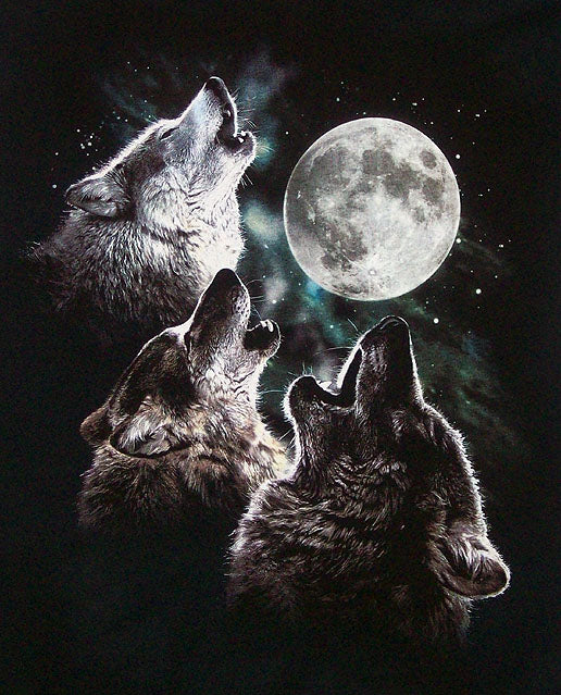 Three Wolf Moon Kids T-Shirt