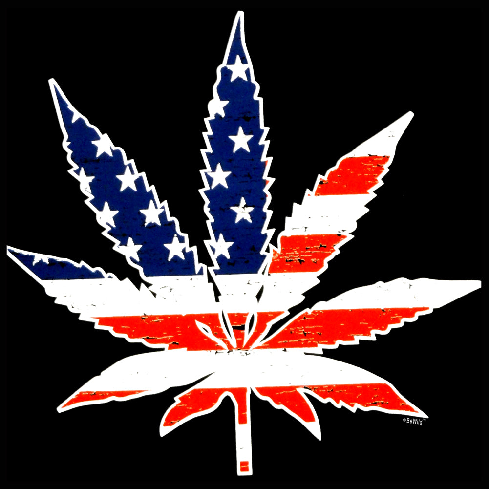 American Flag Pot Leaf Adult Hoodie