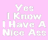 Yes I Know I Have A Nice Ass T-Shirt